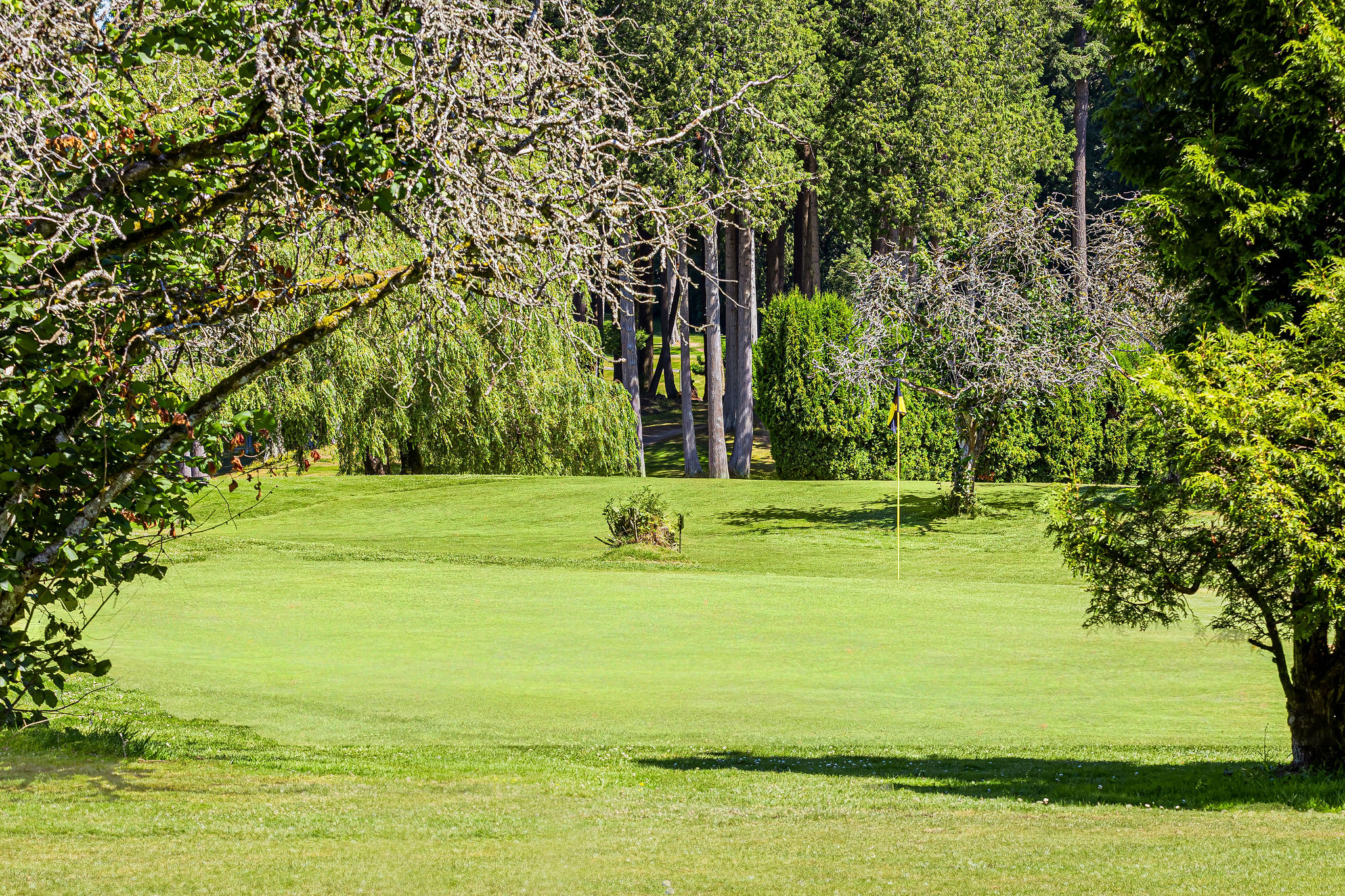 Par 3 golf course - Meridian Hills - Surrey BC