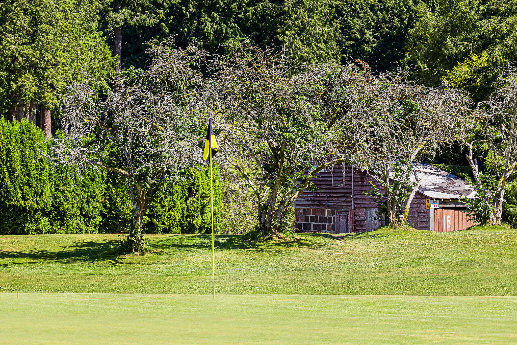 Putting greens and flag - Meridian Hills - Surrey BC